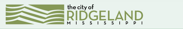 Search Search violations Ridgeland Municipal Court City of Search Search violations Ridgeland Municipal Court City of